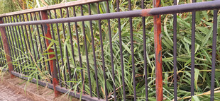 野外铁艺围栏古朴质感尽显