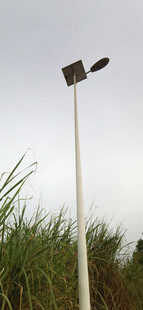 户外太阳能路灯旁的茂盛草木