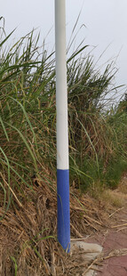 路边蓝白相间的杆子与草丛