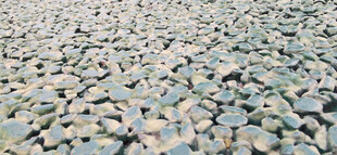 绿色沥青平坦路面