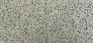 纹理粗糙的绿色地面特写