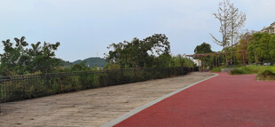 宽阔的红色步道与葱郁树林