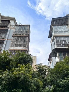 居民楼间绿树蓝天景象