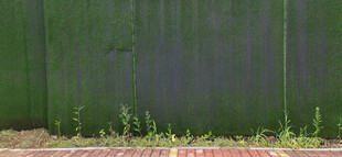 绿色围栏与生长的杂草