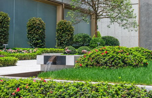 精致城市绿植景观设计
