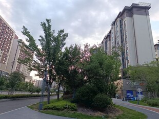 小区周边绿化景观