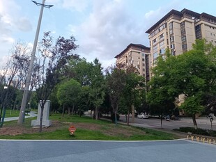 城市街道旁的建筑与绿树