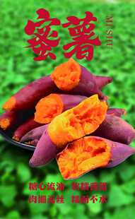 香甜蜜薯