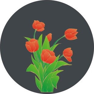 郁金香   花草    适量图