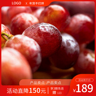 红提电商主图
