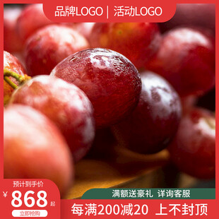 红提电商主图