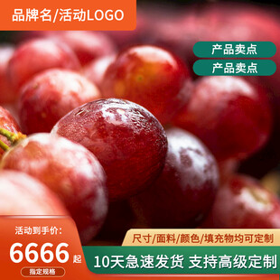 红提电商主图