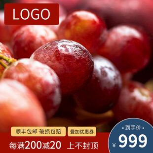 红提电商主图