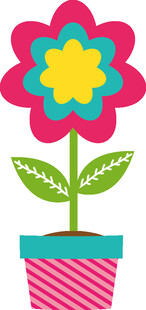 彩色花盆中的可爱花朵