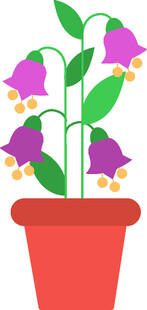 花盆中的紫色铃铛花