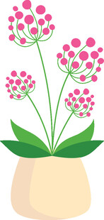 花盆中的粉色花朵