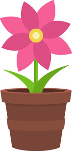 盆栽中的粉色花朵