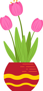 花瓶中的粉色郁金香