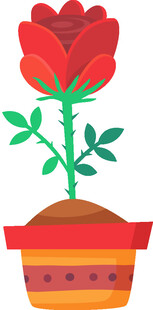 花盆中的红玫瑰