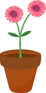 花盆中的两朵粉色花朵