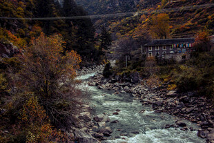 山间湍急溪流与多彩秋景