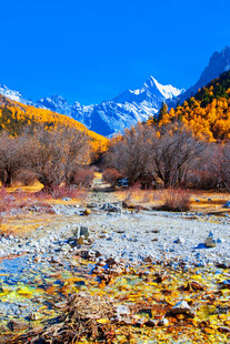 秋日山间溪流美景