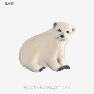 北极熊