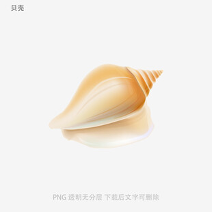 贝壳