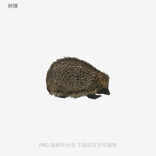 刺猬