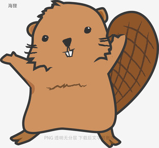 海狸