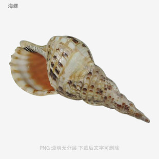 海螺