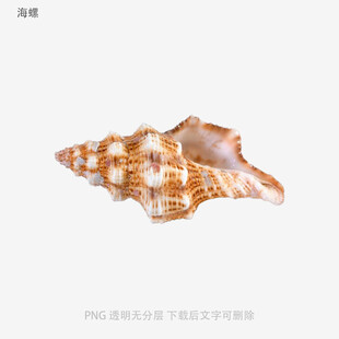 海螺