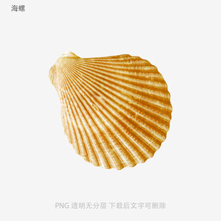 海螺