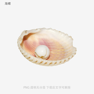 海螺