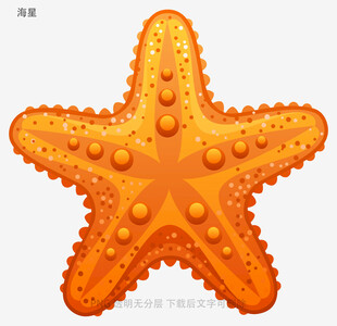 海星