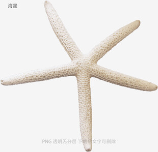 海星