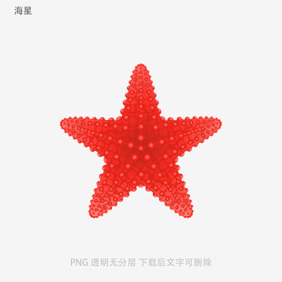 海星