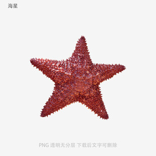海星