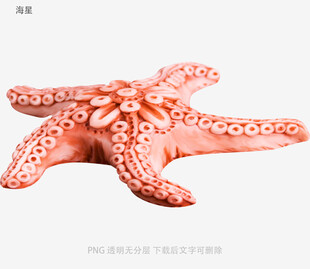 海星