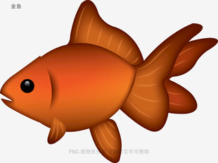 金鱼