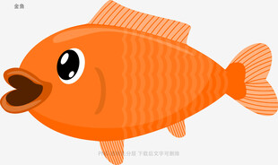 金鱼