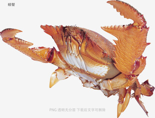 螃蟹