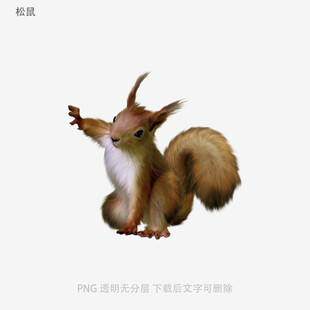 松鼠