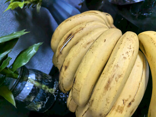 一串熟香蕉及周边绿植