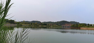 湖畔风光静谧水面