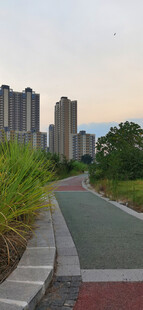 城市中的静谧彩色步道