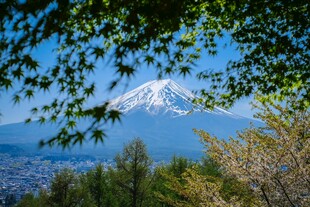 富士山