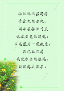 信纸