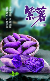 新鲜紫薯