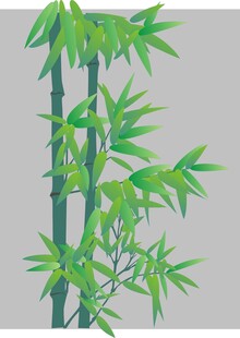 竹子  植物   矢量图